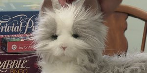 Robotic pets providing solace for New York seniors