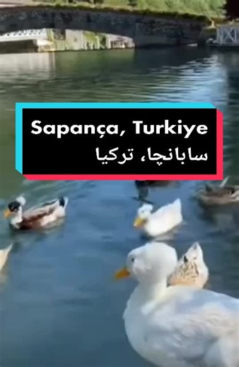 ‏#Sapança #Turkiye #turkey #سابانجا #تركيا