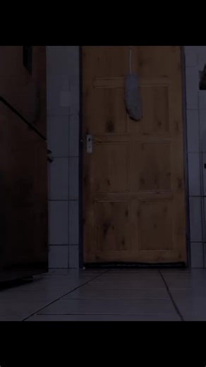 Bonnie on TikTok