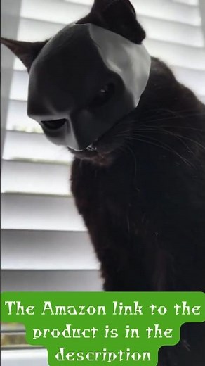 Bat Cat Mask – Perfect for Cosplay & Everyday Fun! 🦇🐱🎭