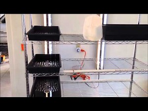 Indoor Barley Fodder System setup - Grow Your Animals' Food