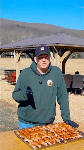 Pellet Grill vs Vortex Chicken Wings...1 Winner!