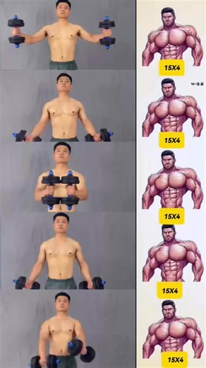 168K views · 988 reactions | Dumbbells exercise for strong chest muscles #workout #Fitness #fyp #chestworkout #homeworkout #fitnessmotivation #gym #exercise Home Workout | Home Workout | Facebook