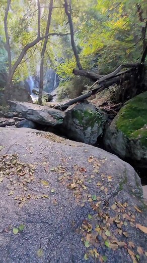 913 reactions · 152 shares | La cascade de Baoussous de Céret 66 #cascade #nature #vallespir #céret #payscatalan #pyreneesorientales_tourisme | Jean Pierre Ségura | Facebook