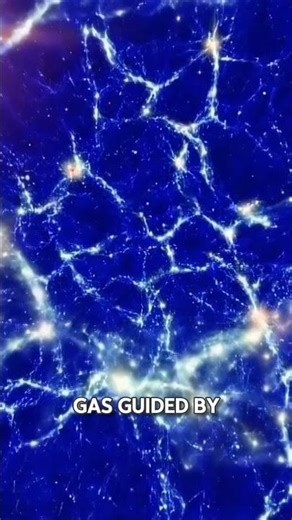 How the Cosmic Web Shapes Galaxies