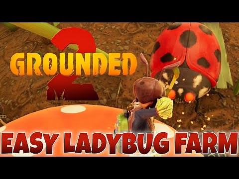 Early Game Ladybug Farming Guide in Grounded 2