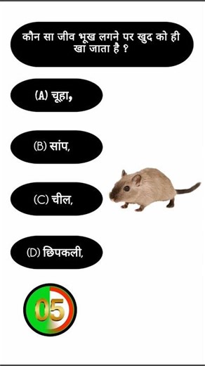 india outline map with states | india map with neighbowring country | indian geography mapping