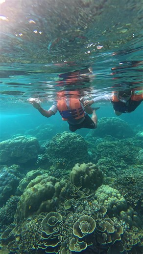 Snorkelling Adventure at Amed Beach: Explore the Depths