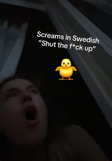 Late Night Bird Noises that Ruin Sleep