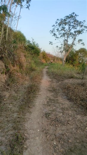 Banda country💞🌞🌄 Solo Para Tí 💞🌞🌄🇻🇪💪💪👒🏞️🌄🌄Campo al 100% Venezuela 🇻🇪🇻🇪❤️😘🏞️🏞️🌼🌄🏞️🌼🐾🇻🇪❤️❤️ Venezuela Bendecida Por Mi Dios, Amén..🙏🙏🙏