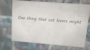 How To Reduce Stress In Cats