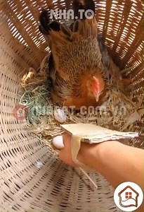 5.9K views · 37 reactions | Amazing ideas on Reels | Facebook