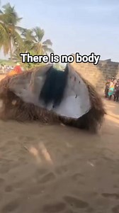 The Kumpo dance is a traditional cultural performance originating from the Jola people in the Casamance region of Senegal and The Gambia. The Kumpo is a mystical figure that is central to this dance, often covered in palm leaves and wearing a mask. The Kumpo is considered a spiritual or magical being and leads the dance, interacting with the participants and audience in a ritualistic manner. The dance often takes place during festivals, ceremonies, and community gatherings, accompanied by drummi