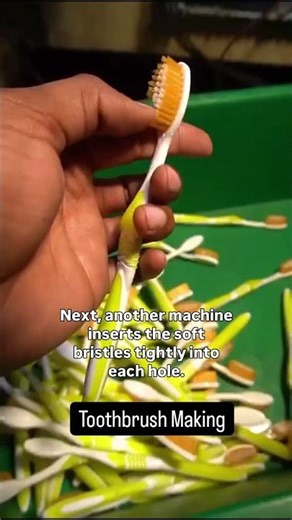 How Toothbrushes Are Made in Factory! 😲