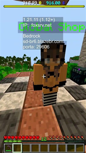 Playing with Subscribers on Brazilian Minecraft Bedrock and Java with voice chat