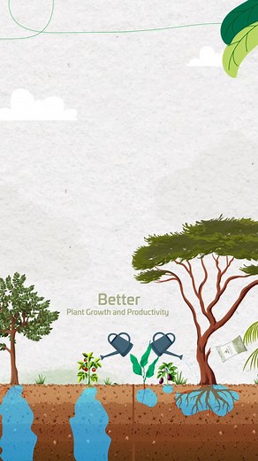 #Water_Saver is a #natural product that alters the behavior of #water in the #soil, acting like a sponge to soak up water effectively and holding it in place in the soil. It saves up to 40-50% of #irrigation_water and retain nutrients in the root zone for better plant growth and productivity, The minimum #WaterHoldingCapacity (WHC): 400%, It is natural and has no polymers, Saves of #irrigation by water 40-50%, Reduces frequency of irrigation, Ensures higher yield, High fungicidal effect, Stronge