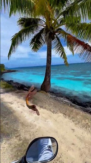 Better Than Tahiti? Fiji’s Hidden Outer Island | Rotuma 🌺