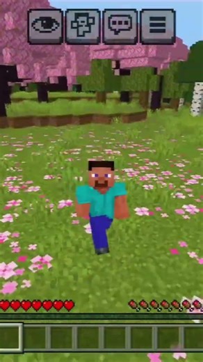 Minecraft Free to Play smp #funny #smp #minecraft #lifstealsmp