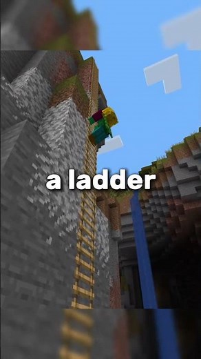 Not Enough Animations!! #minecraft #minecraftmods