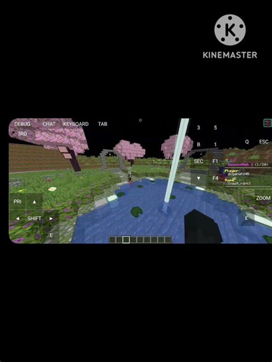 NEW LIFESTEAL MICRAFT SERVER HAS BEEN REALSED #gaming.