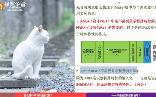 AIAG&VDA DFMEA&PFMEA飞马之 筛选器代码（可选）~择宽企管 质量管理 SQE FMEA 飞马 五大工具 失效模式及影响分析 失效模式及后果分析