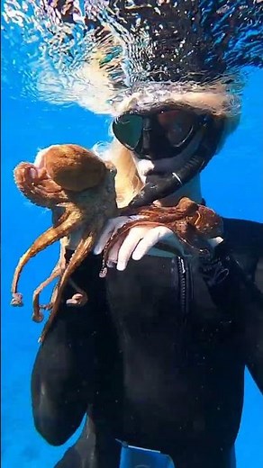 usually it's 2 girls 1 octopus, but this time it's 2 octopuses 1 girl
