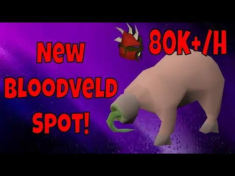 New Bloodveld Slayer Spot! | 80k+/h Slayer xp | Bloodveld Slayer Guide 2020