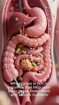 Wheatgrass Shots: Are They Worth It? Top 3 Health Benefits Explained #superfoods #food #nutritiontip