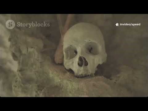 The True Aryan Origins: How Steppe Nomads Created Modern Europe (2025 DNA Breakthrough)