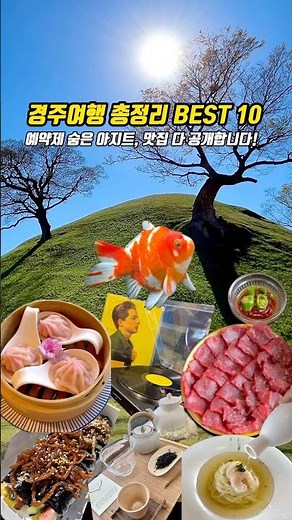 뻔한곳 사절📌요즘 경주여행 핵심 총정리 BEST 10 #경주여행코스
