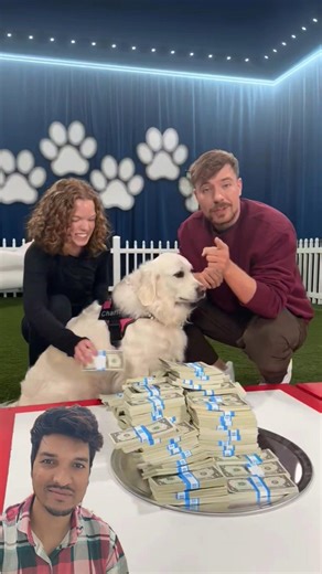 Cutie Dog & Beautiful owner #cute #dog #shortsfeed #shortsvideo #cartoon #video #beautiful