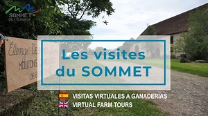 4K views · 67 reactions |  Les Visites d'élevage du Sommet ! Retrouvez la visite complète de la race Mouton Charollais sur la chaîne YouTube du Sommet de l'Elevage et posez vos questions par Chat à l'éleveur et au technicien de la race le mercredi 5 octobre 2022 de 17h00 à 17h45.  www.youtube.com/c/SommetElevage | Sommet de l'Elevage | Facebook