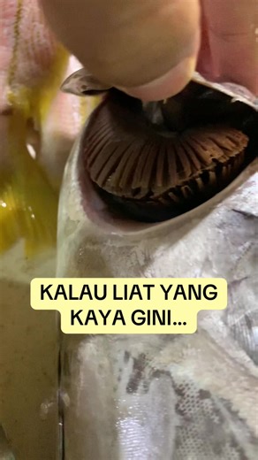 Tips Memilih Ikan Segar di Pasar