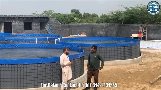 Biofloc Fish Farmer's Review. #BioflocFishFarming #UgandaAquaculture #WestAfricaFarming #FishFarmingAfrica #AquaBusiness #SustainableFarming #FutureOfFish #BioflocSystem #WaterToWealth #ASsammakFarm | As Sammak BioFloc Fish Farming