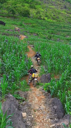 Epic Vietnam Dirt Bike Tour 2027 | Mountains, Trails & River Crossings