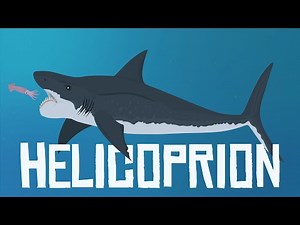 A Permian Fish with Buzzsaw Jaws ruled before the Great Dying