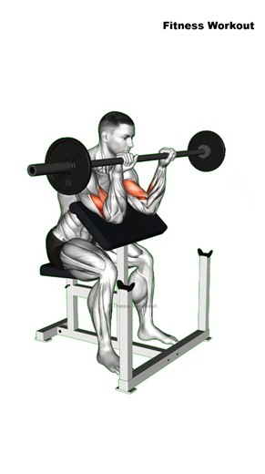 2.2K views · 98 reactions | How To Get Bigger Arms  #fitness #gym #workout #armworkout | Fitness Workout | Facebook