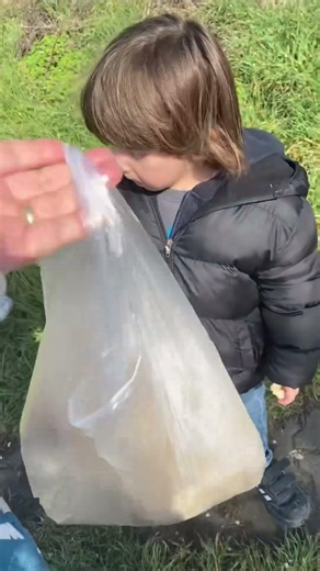 Cihangir ekmek aldı 😱#keşfet #global #fyee #funny #fyyppppp #baby #cutebaby #cutebaby #cute