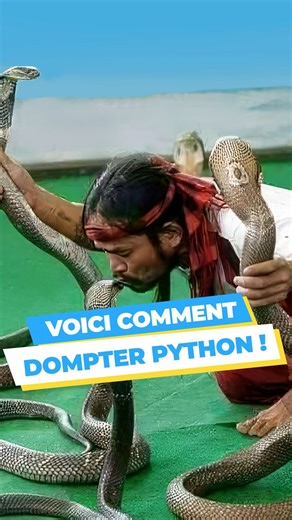 GOMYCODE Sénégal on Instagram: "Heureusement qu'il y a plus simple pour apprendre PYTHON 🤣 Rejoins- nous ! 🔗 https://gomycode.com/sn/fr/courses/les-fondamentaux-de-python/ #GOMYCODE #TECH #PYTHON #MEME"