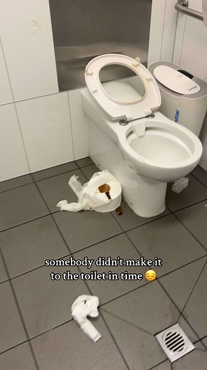 Hilarious Toilet Mishaps: Missed the Bowl!