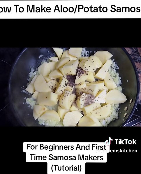 Easy Aloo/Potato Samosa Recipe Tutorial for Beginners