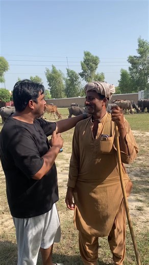 Top Features of the iPhone 13 You Should Know