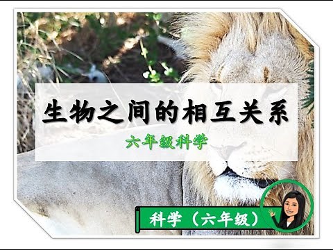 【六年级科学】 ｜ 第四课《生物之间的相互关系》｜附送笔记