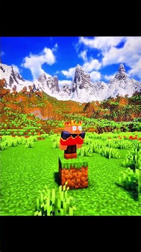 JAVA BEST SEED FOR MINECRAFT SURVIVAL AND SPEED RUNNER 💐
