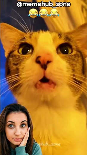 TOP 10 Funniest Talking Cats 😂 You Won’t Believe They Sound Like Humans!