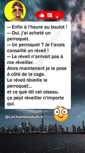 🦜 Le réveil miracle #humour #drôle #blague #rire #meme #humourfrançais #france