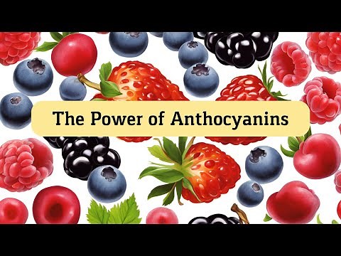 The Power of Anthocyanins: Strengthen Your Bones and Reduce Osteoporosis Risk