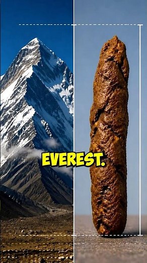 True Scale of Human Poop 💩