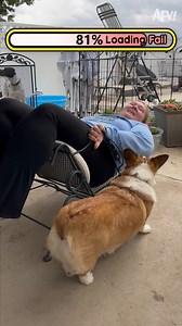 943K views · 2.5K reactions | The suspense is killing me! 藍 | America's Funniest Home Videos | Facebook