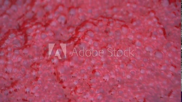 Pink foam for red currant jam. red currant are boiled in a pot with sugar. The most delicious homemade red currant jam. An abstractly shaped picture with a partially shape